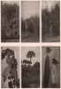 California/Sunn Hemp Louisiana Jute China Grass/Ramie Cabbage Palmetto 1903