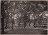 Bienville Square, Mobile. Alabama 1903 old antique vintage print picture