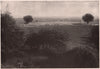 A Flock of Sheep Ready for Shearing. Sheep 1904 old antique print picture