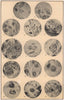 Small Pox. Medicine 1904 old antique vintage print picture