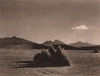 Desert near Sabaya in the Province of Carangas. Bolivia 1928 old vintage print