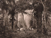 A camp on the borders of the River Piray (Santa-Cruz province). Bolivia 1928