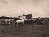Junkers F13 airplane aircraft & ox cart. Bolivia 1928 old vintage print