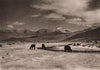 River Todos Santos in the Province of Carangas. Alpaca. Bolivia 1928 old print