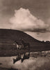 Two donkeys of the Tablelands. Bolivia 1928 old vintage print picture