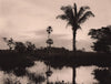 Sunset in a pampa of the Beni-Land. Bolivia 1928 old vintage print picture