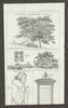 Old oak trees Ampthill Park, Beds. John Green of Wexford portrait, Ireland 1796