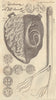 Substance resembling a Serpent, found in a man's heart by Dr. Ed. May 1639 1798