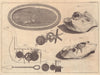 Artificial Swan with its mechanism. Fossil Echinus found at Gravesend, Kent 1766