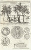Rufus Stone, New Forest. St. Antonii de Grateinon. Queen Elizabeth 1786 print
