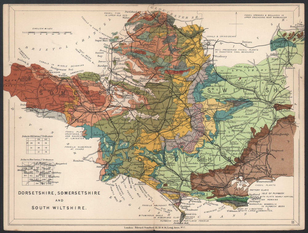 DORSET, SOMERSET AND SOUTH WILTSHIRE Geological map. STANFORD 1907 old
