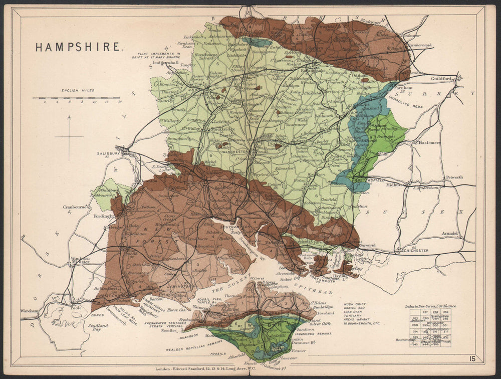 HAMPSHIRE Geological map. Isle of Wight. STANFORD 1907 old antique chart