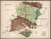 HAMPSHIRE Geological map. Isle of Wight. STANFORD 1907 old antique chart