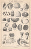 BRITISH FOSSILS. Upper Cretaceous - Chalk. STANFORD 1907 old antique print