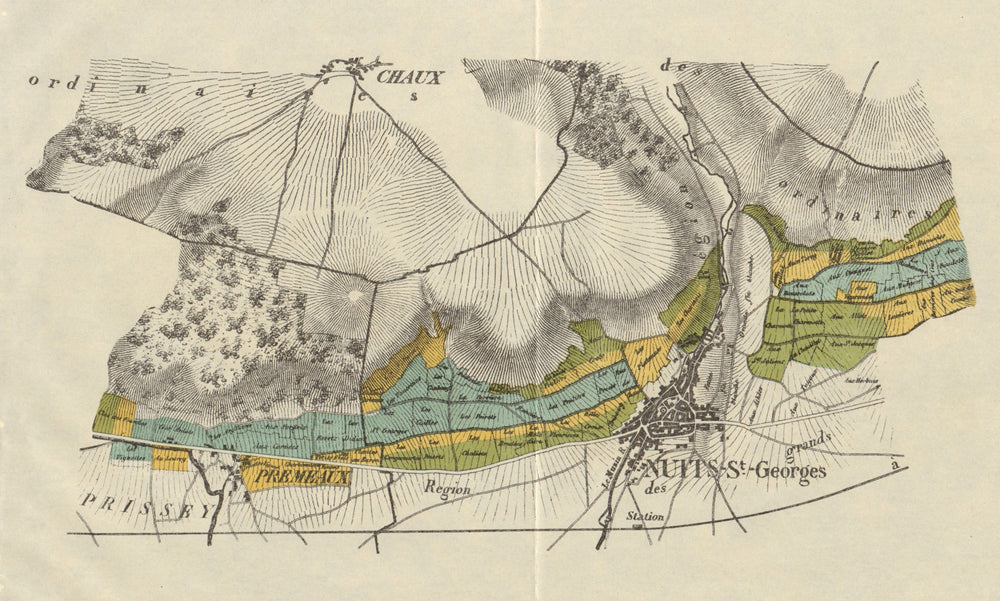 BURGUNDY BOURGOGNE VINEYARD MAP Côte de Nuits-Saint-Georges Premeaux RODIER 1920