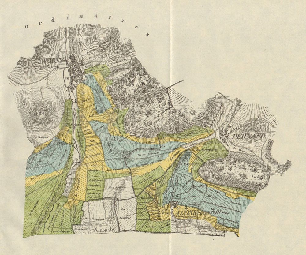 BURGUNDY BOURGOGNE VINEYARD MAP Aloxe-Corton Pernand Savigny-Beaune RODIER 1920