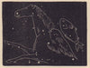 Pegasus and one of the Fishes. Star chart. SMALL. PROCTOR 1881 old print
