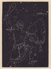 Orion. Star chart. SMALL. PROCTOR 1881 old antique vintage print picture