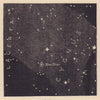 Part of Cygnus where a new star appeared in 1876. Chart. SMALL. PROCTOR 1881