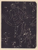 Ophiuchus and Scorpio. Star chart. SMALL. PROCTOR 1881 old antique print