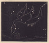 Dragon. Star chart. SMALL. PROCTOR 1882 old antique vintage print picture