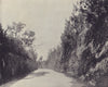 The road cut by convicts, Bermuda. Atlantic Islands. STODDARD 1895 old print