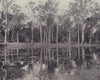 A lagoon in New Caledonia. Pacific Islands. STODDARD 1895 old antique print