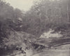 Grand River North West, Mauritius. STODDARD 1895 old antique print picture