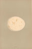 BRITISH BIRD EGGS. Erne. MORRIS 1896 old antique vintage print picture