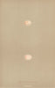 BRITISH BIRD EGGS. Crested Titmouse. MORRIS 1896 old antique print picture