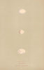 BRITISH BIRD EGGS. Wryneck Creeper. Wall Creeper. MORRIS 1896 old print
