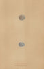 BRITISH BIRD EGGS. Rustic Bunting. Little Bunting. MORRIS 1896 old print