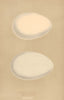 BRITISH BIRD EGGS. Grey-lag Goose. Bean Goose. MORRIS 1896 old antique print