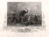 Siege of Multan 1849. Houdah of Moolraj's elephant. Pakistan. TALLIS c1855