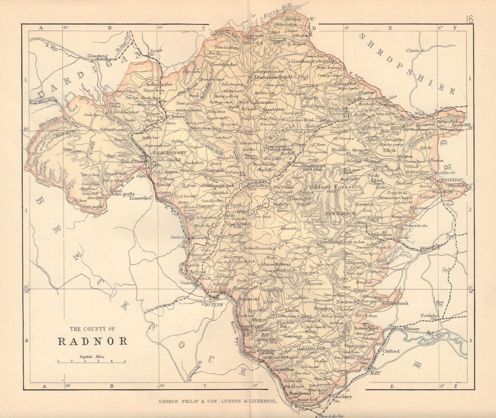 RADNORSHIRE "The County of Radnor" Wales BARTHOLOMEW 1885 old antique map