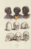 ETHIOPIAN RACE. Homme. Races Ethiopique. East Africa III 1833 old print