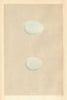 BRITISH BIRD EGGS. Hen Harrier. Montagu's Harrier. MORRIS 1866 old print