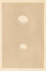 BRITISH BIRD EGGS. Roller. Kingfisher. MORRIS 1866 old antique print picture