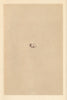 BRITISH BIRD EGGS. Swallow. MORRIS 1866 old antique vintage print picture