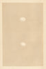 BRITISH BIRD EGGS. Martin. Sand Martin. MORRIS 1866 old antique print picture