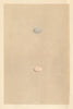 BRITISH BIRD EGGS. Grey headed Wagtail. Yellow wagtail. MORRIS 1866 old print