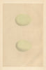 BRITISH BIRD EGGS. Crane. MORRIS 1866 old antique vintage print picture