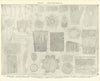 BOTANY. STEM-STRUCTURE Epidermal Appendages Bark vascular bundle Balsam 1907