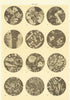 Rocks. Geology 1907 old antique vintage print picture
