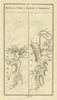#173 Road from Cork to Bantry & Skebreen. Skibbereen. TAYLOR/SKINNER 1778 map