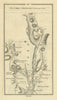 #176 Cork to Macroom & Kenmare. Inchigeelagh. TAYLOR/SKINNER 1778 old map