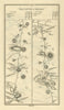 #251 Cavan to Ardee. Kingscourt Bailieborough Stradone. TAYLOR/SKINNER 1778 map