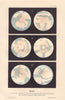 MARS. Colour lithograph. Views of equator & of the poles. Hemispheres 1866