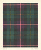 Macneil Tartan. Scotland 1950 old vintage print picture