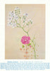 Climbing Sundews (Drosera macrantha). West Australian Wild Flowers 1950 print